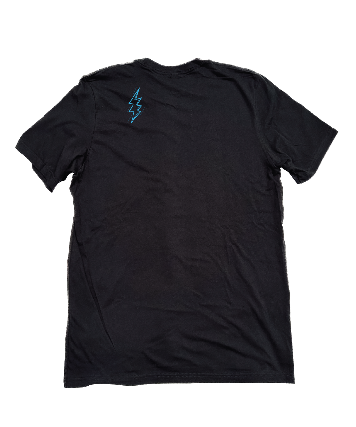 Solid Black - Phish Dogpool Logo t-shirt with blue Witness zap logo on back left shoulder